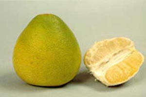 �����ӿ��Գ����ӆ�?����ʳ�V���]:�������u��