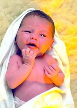 ʲô�ǌ����u�T���냺�u�Tʲô�r���]��?