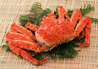 �������ܳ��з�᣿�����ڳ��з�ò���