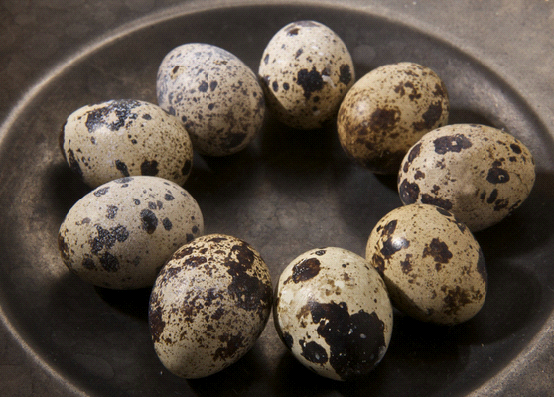 �ЋD�ܳ��g�����᣿���g��������Ę���L�ߣ�