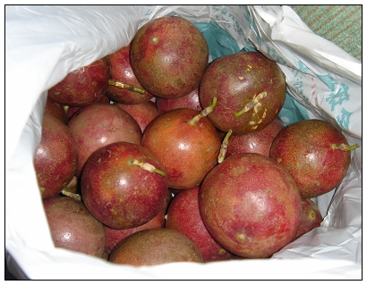 �ЋD�ܳ԰�����᣿������γ԰������