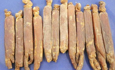 �ЋD�ܳԸ������᣿���гԸ������ò��ã�