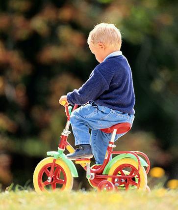 ������ߌ������\��������