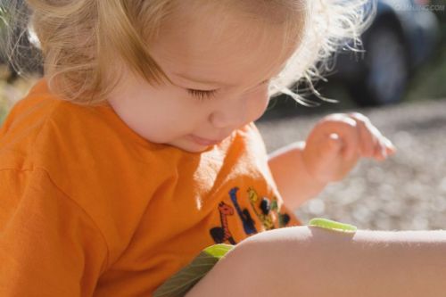 �������x��ҧ����ô�k�����̎����