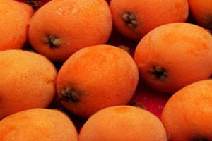 �������ܳ����ˆ᣿�����ڳ����˺Æ�