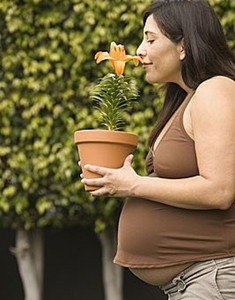 �ЋD�������^����ô�k��