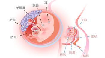 ���и����A�γ�Ҋ��˯��׃�������ӵģ�