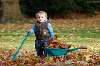 �������B(y��ng)���ӵ�؟(z��)���ģ��ҽ�11��(g��)����