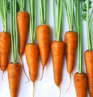 �����������}�����w������