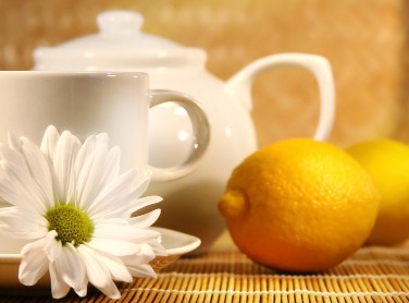 �Ћ�����̫������ʳƷ ��Ӱ�̥���l��