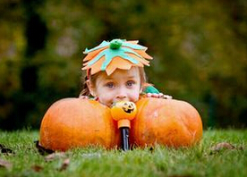 �＾�����o��ע�����