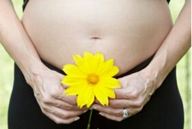 �������g�Ћ��������A�������^����