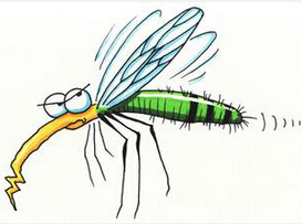 �ЋD���������ã�����ʹ�÷��îaƷ��ע��ʲô