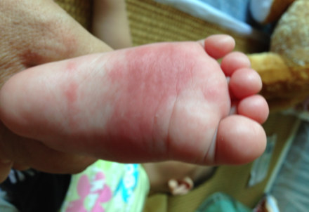 ؐ�����̷������t�� ���ݼt���¼�