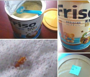 港版美素奶粉驚現(xiàn)活蟲-2