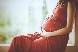 �x���ЋD�b ׃���r���Ћ���