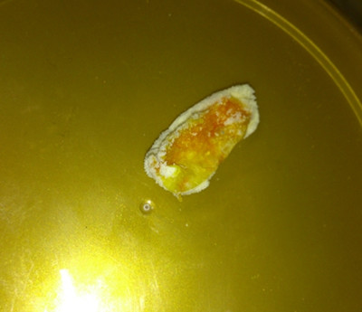 ���ؼу������̷۳Գ���K�Sɫ����