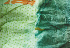 幫寶適紙尿褲驚現(xiàn)白色蟲子 廠家拒不承認(rèn)