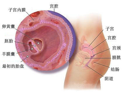 ������������_̥���D_�ЋD���w׃��_����4��ע�����