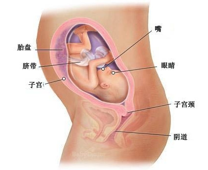 ���ж�ʮ���ܰY��_̥���D_�ЋD���w׃��_����27��ע�����