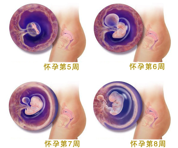 ���ж�����_����2����̥���D_�Y��_�ЋD2����ע�����