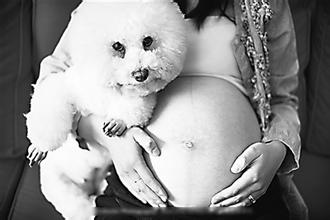 �ЋD��Ⱦ�����x������Щ�Y�����ί����A��