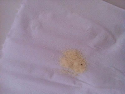 2014��ٝ���¼�������ٝ���̷۳Գ����w����