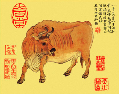 �ЋD��Ҋţ��ʲô���x�����Љ�Ҋţ�ǺÉ�᣿