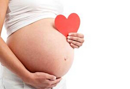 ����VS���{�����������Ŀ��᣿