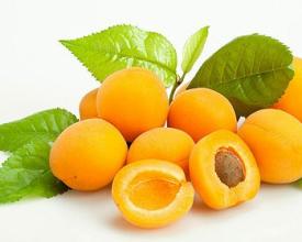 �ЋD���ӕ���̥�����������g�Ƿ���Գ��ӣ�