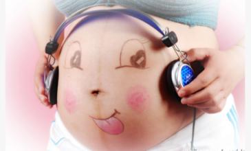 ���ӵ��������|(zh��)���B(y��ng)��̥���_ʼ������4��(g��)�¾Ϳ�������̥��-2