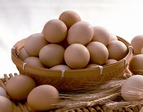 孕婦飲食的8種最佳食品-1