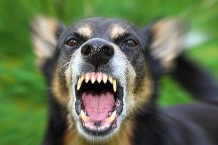 �ЋD����ҧ����ô�k�����б���ҧ����ע���Ȯ�����