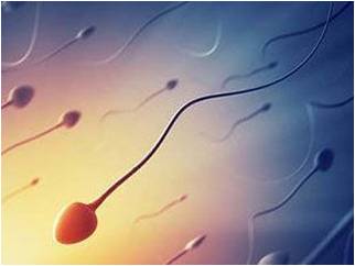 ���쾫�ӻ����������гɹ��ʸߣ��ʰְ���ץס�C����