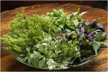 �ЋD�ܳ�Ұ�ˆ᣿���в��ܳ���ЩҰ�ˣ�