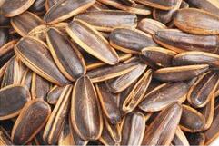 �ЋD�ܳԳ����ӆ������гԳ����ӑ�ע��ʲô