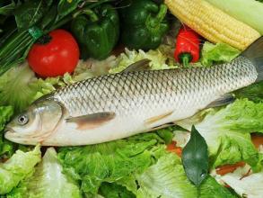 �ЋD�ܳԲ��~�᣿���гԲ��~�к�̎��