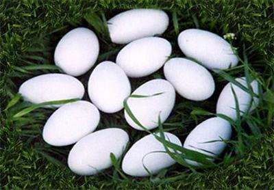 �ЋD�ܳ��Z���᣿���г��Z���Æ�