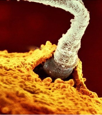 �ܾ���������Ҫ���L�r�g���ܾ��������^�̽���