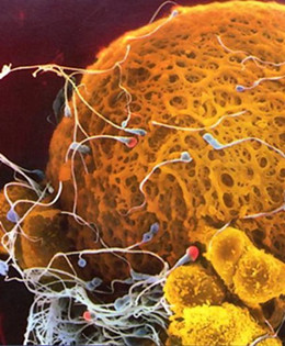 �ܾ���������Ҫ���L�r�g���ܾ��������^�̽���