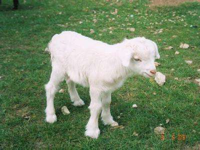 �ЋD��Ҋ����ʲô���x