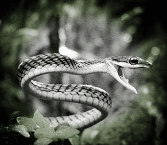 �ЋD��(m��ng)Ҋ(ji��n)����ʲô��˼�����Љ�(m��ng)Ҋ(ji��n)����ô�k