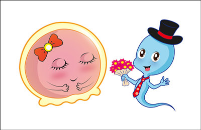 ��ľ��Ӻϸ�ô���������Ӳ���ϸ�