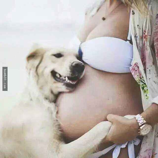 �����ڼ����B؈����̥����Ӱ푆᣿