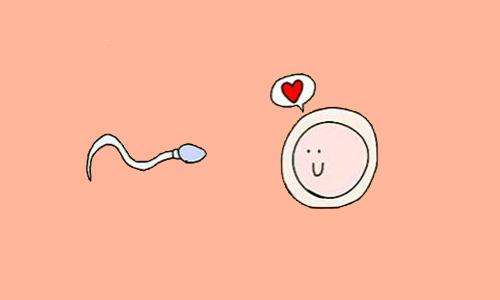 ������Ӻϸ�᣿�������Ӳ���ϸ�