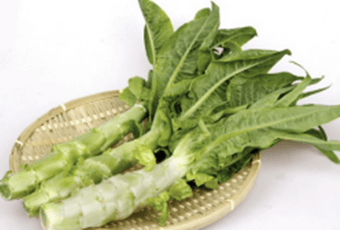 �a����ԳԸC�S���������ڳ��n�S�ò���