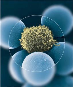 ���ھ޼���������������ЩΣ��������A���أ�