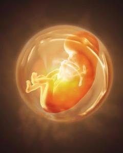 ̥���R��ʲô�z�飿̥���R�z��ò�����