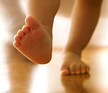 �������(d��o)�����W(xu��)��·���������_�̌����W(xu��)��·