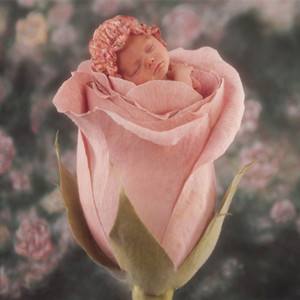 �ЋD��ʲôˮ������ȥ̥����